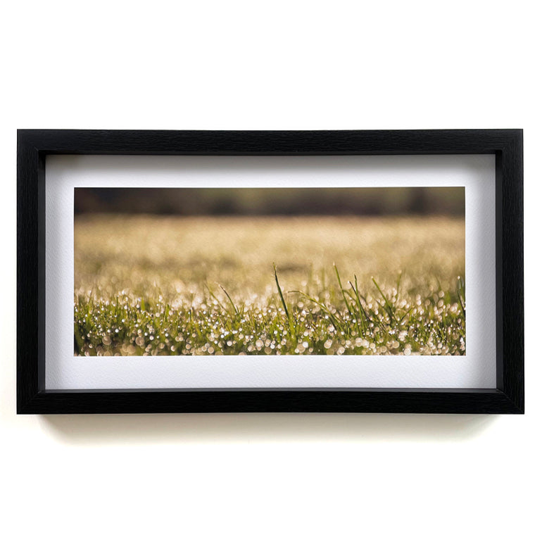 'Sunkissed' - fine art photograph print