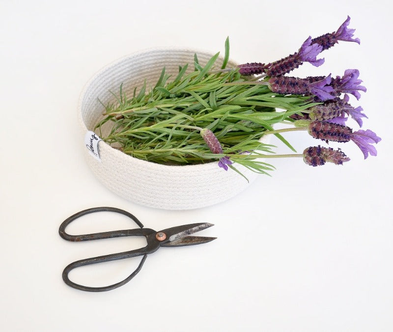 Valet Tray - rope basket