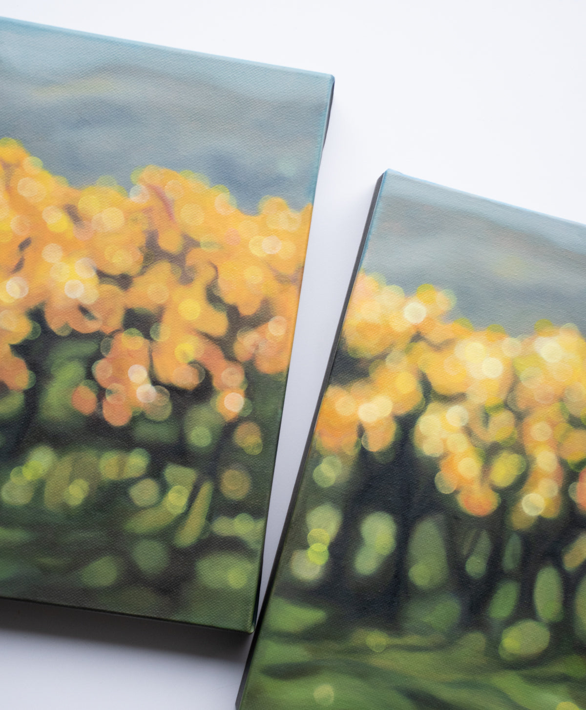 New Zealand vineyard painted in oils in a blurry bokeh style by NZ artist Mel McKenzie, The Penny Drops. Golden light in the autumn vines. Winery art from Central Otago.