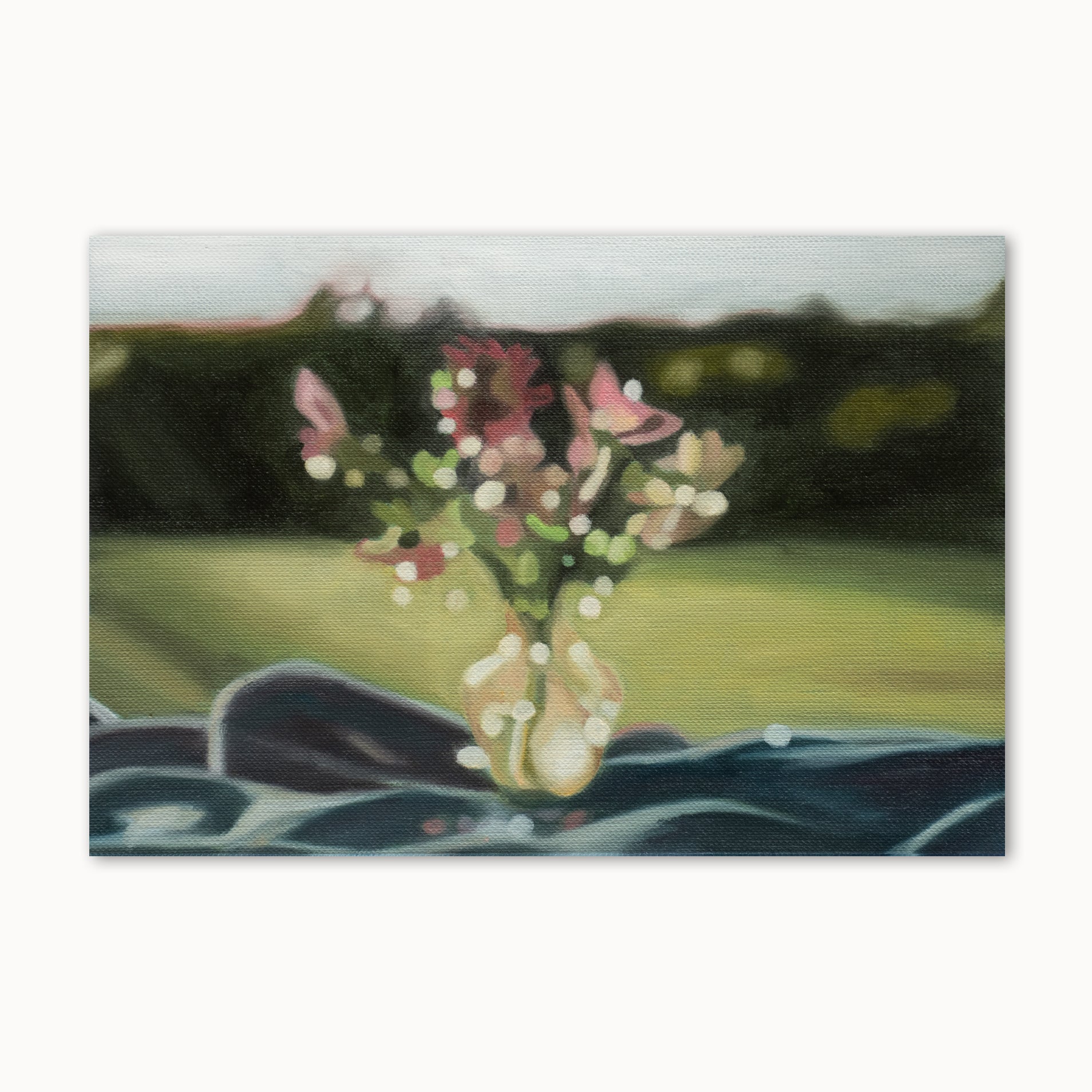 Still life painting study - oil paint, vase of red and pink flowers in soft evening light