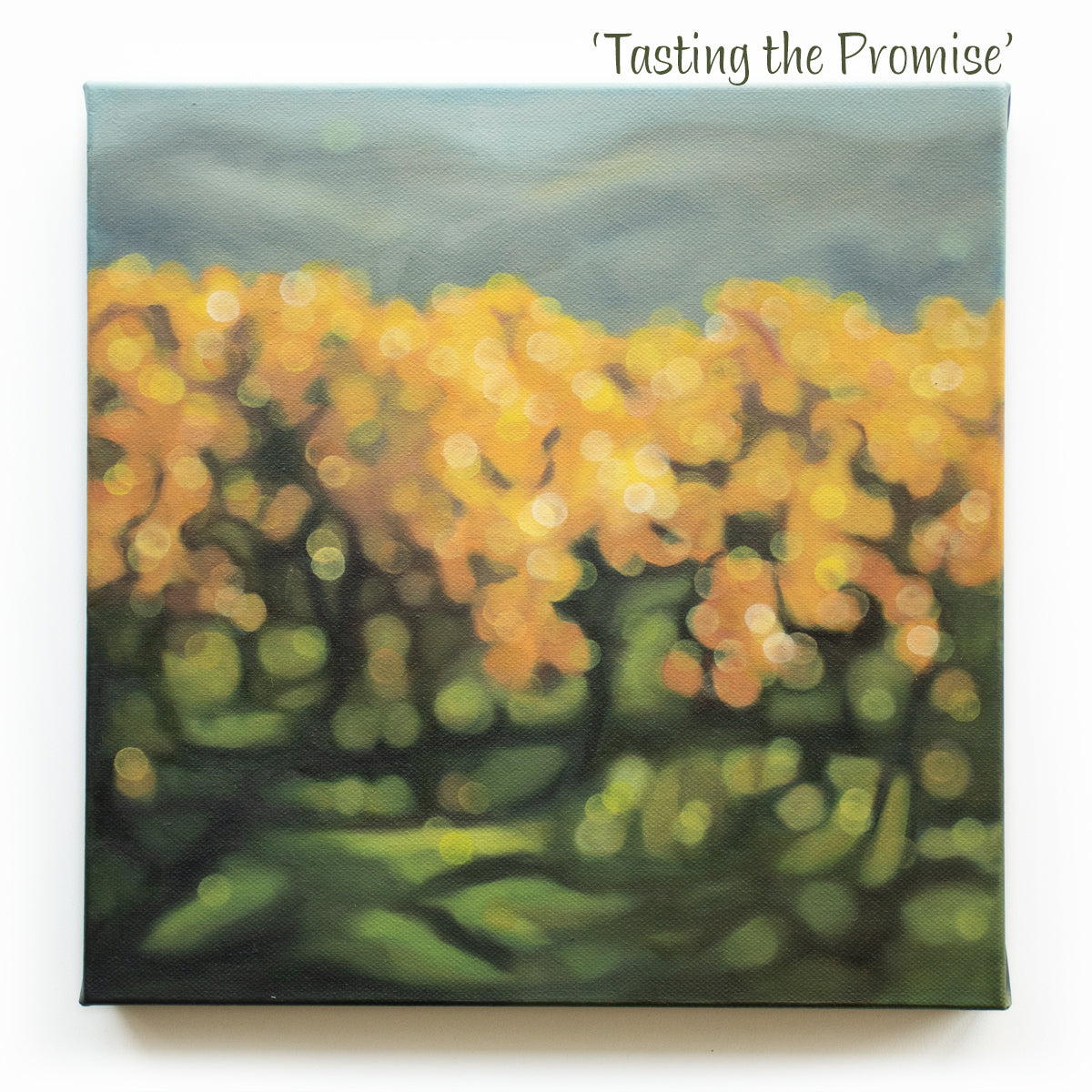 New Zealand vineyard painted in oils in a blurry bokeh style by NZ artist Mel McKenzie, The Penny Drops. Golden light in the autumn vines. Winery art from Central Otago.
