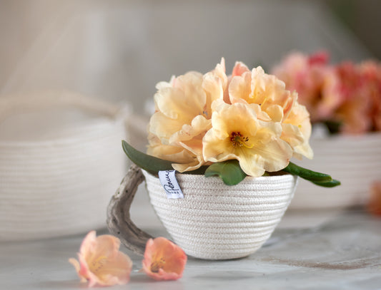 Tea-cup basket with driftwood handle